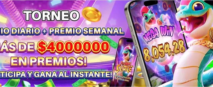 Chido Win Casino App